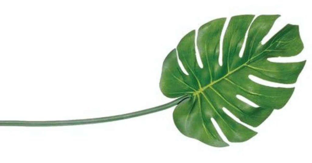 RSL_BLOG_Why Is Ethics In Fashion Important?