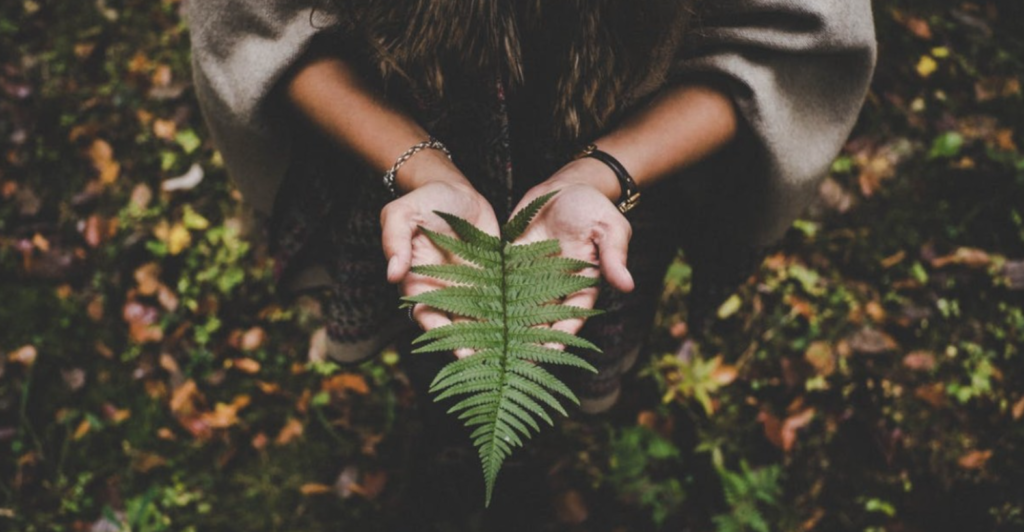 International Women's Day - 3 Women Making An Impact On Our Planet