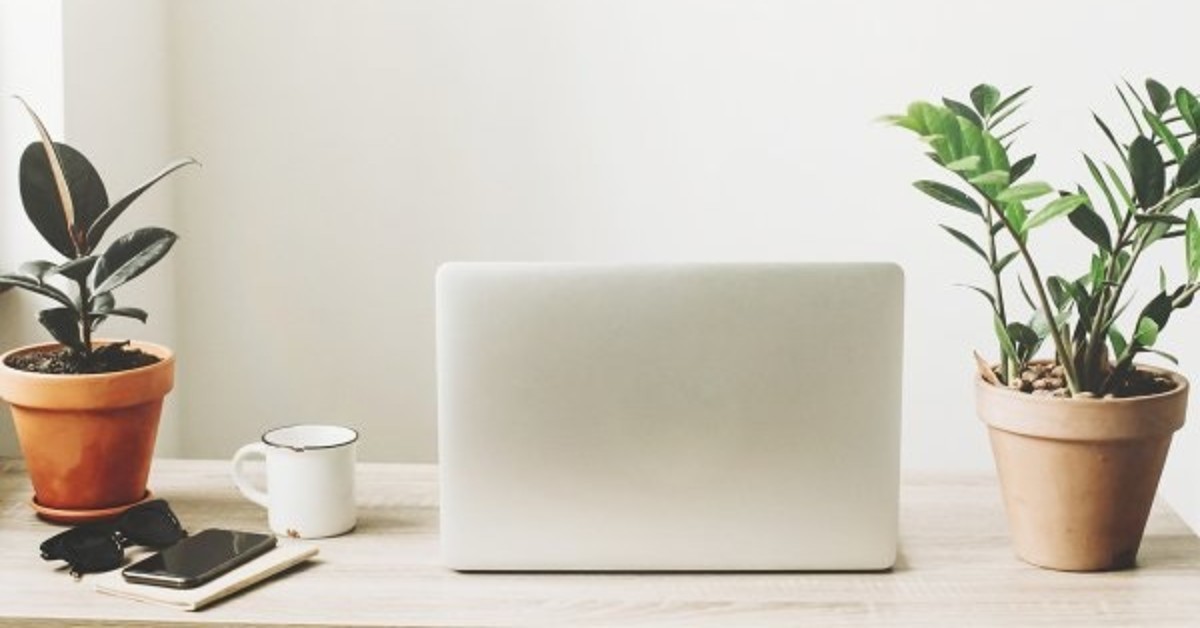 7 FASHION CAMPAIGNS YOU CAN SUPPORT FROM YOUR SOFA