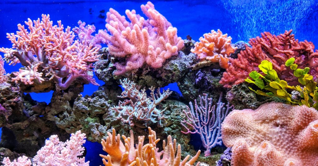 7 FASHION CAMPAIGNS YOU CAN SUPPORT FROM YOUR SOFA 