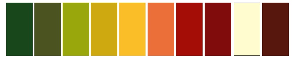 Warm Colour Palette | Forest green, Yellow-green, Khaki, Yellow, Gold, Orange, Orange-Brown, Burnt red, Cream and black | Colours for Warm Skin Tones