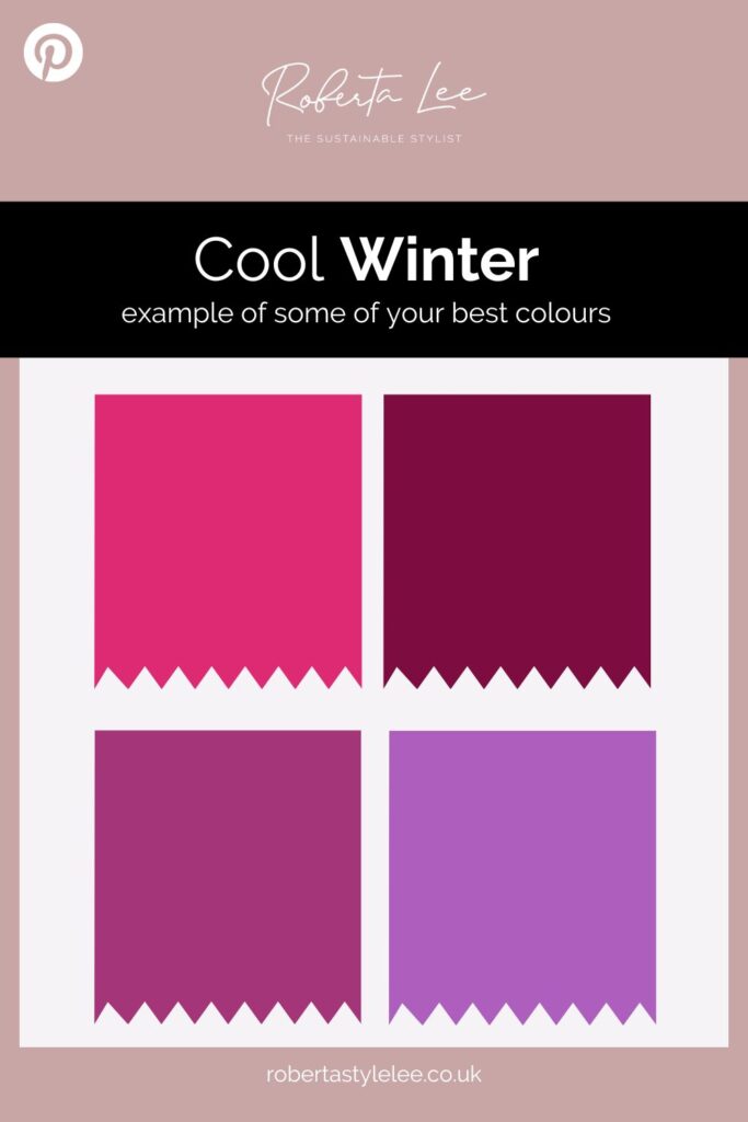 Cool Winter Best Colours 