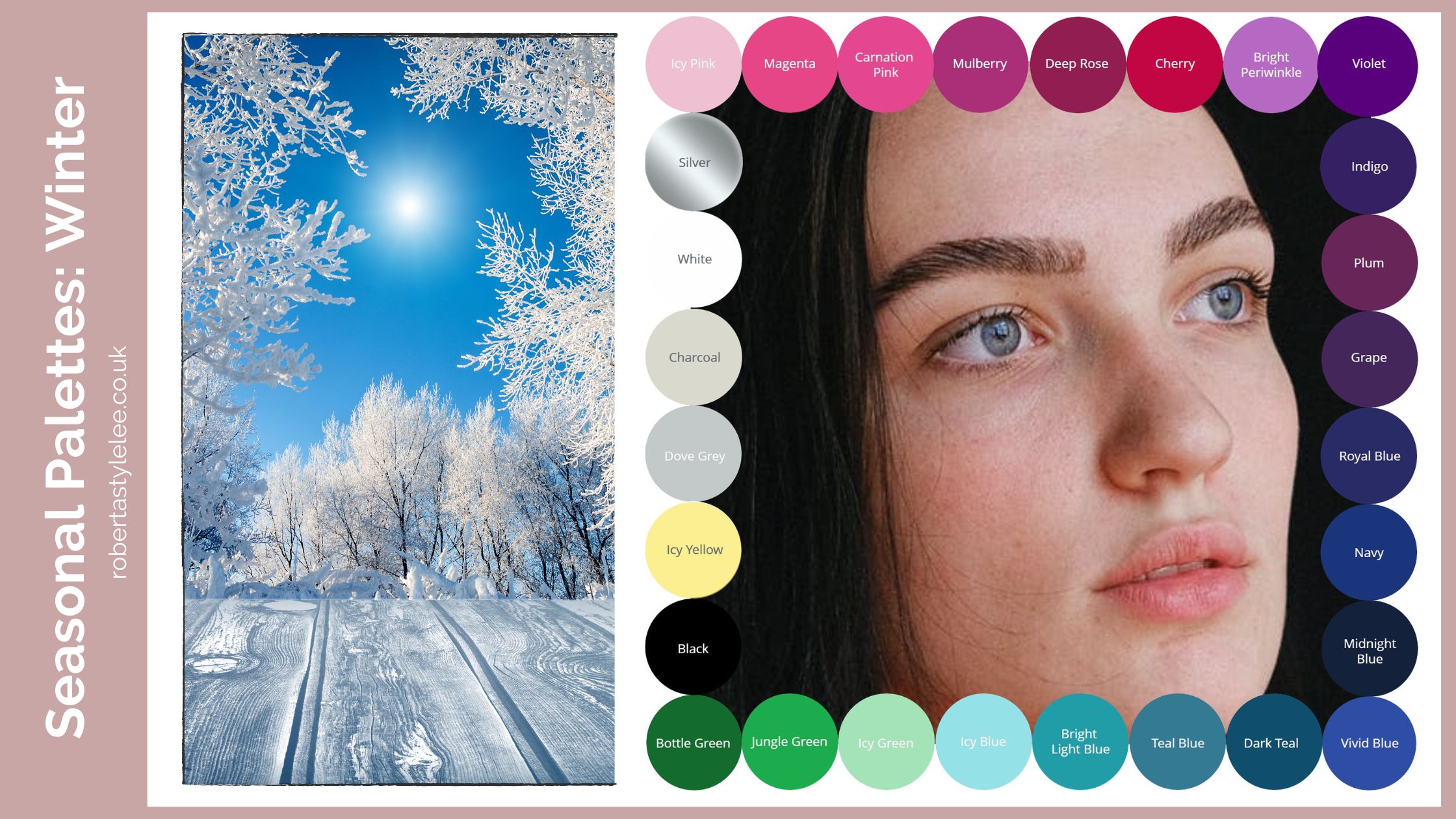 Cool Winter Colour Palette 